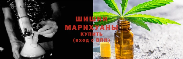 индика Богданович